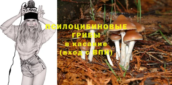 мяу мяу мука Медногорск