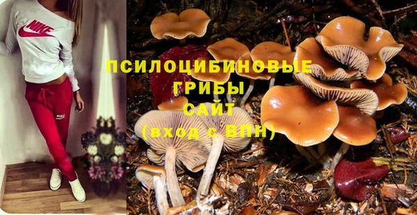 мяу мяу мука Медногорск