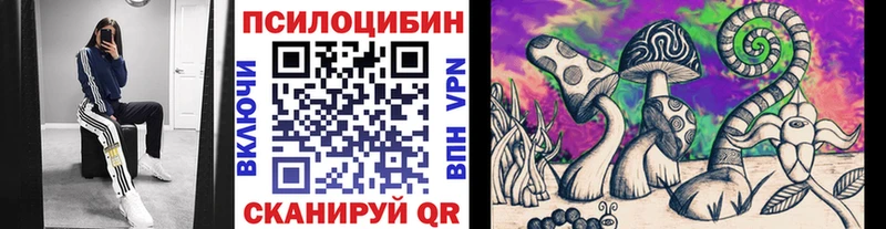 Псилоцибиновые грибы Magic Shrooms  Купить где  Ковылкино 